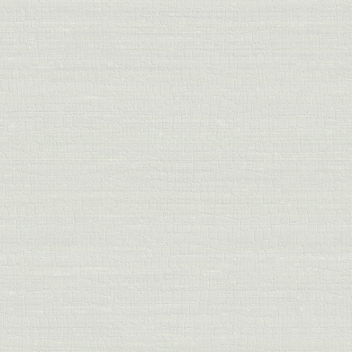 Trocadero fabric in grey color - pattern number 9250 - by Armani Casa in the Refined Structures collection