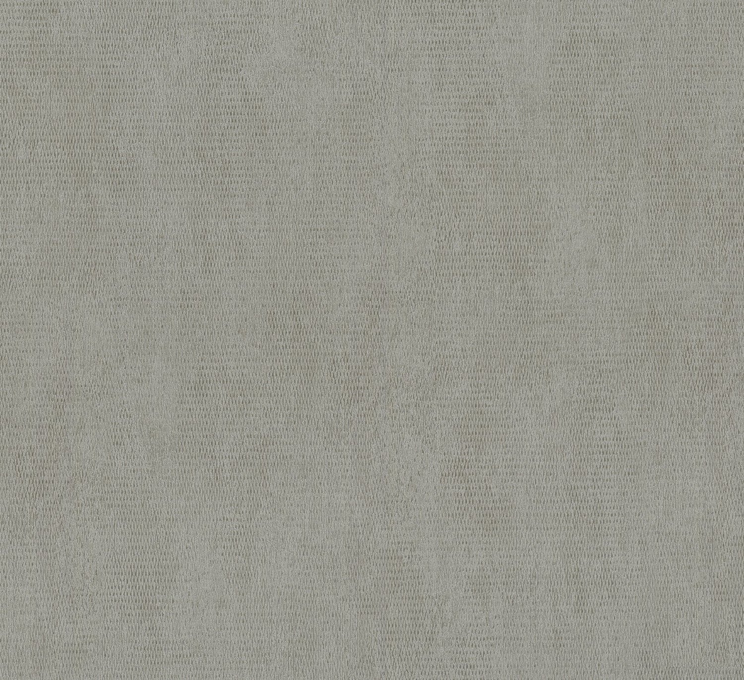 Plain Texture wallpaper in silver grey color - pattern number AI95085 - by Galerie in the Air collection