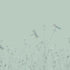 Dickinson 5 Panel mural in green color - pattern number 9911 - by Armani Casa in the Inspired Moods collection