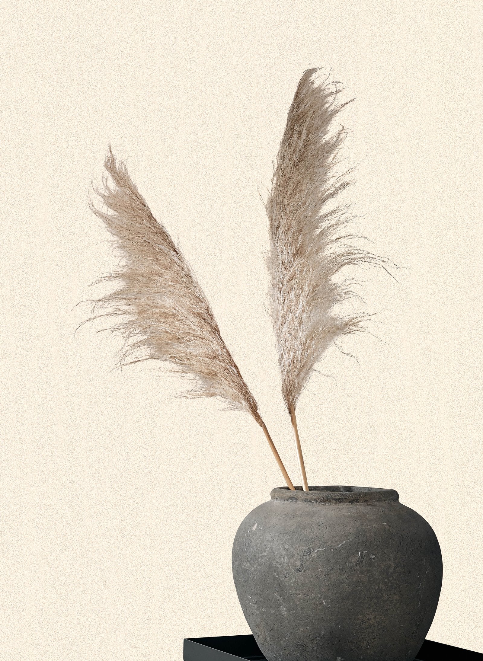 Stipple wallpaper in beige color - pattern number EA99142 - by Galerie in the Earth collection