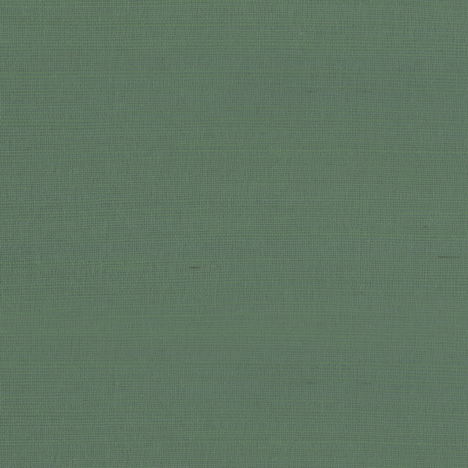 Rafia Plain wallpaper in green color - pattern number 9981 - by Armani Casa in the Inspired Moods collection