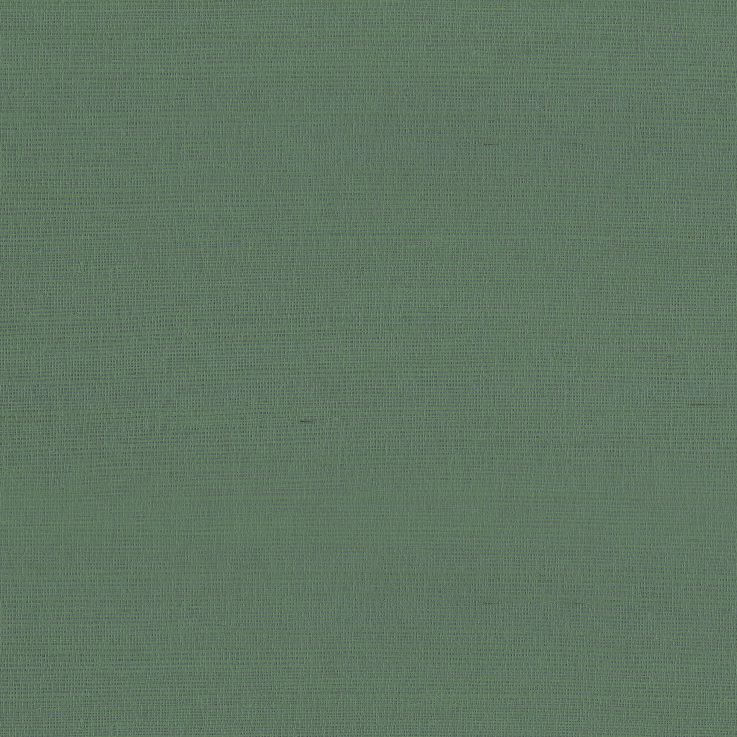 Rafia Plain wallpaper in green color - pattern number 9981 - by Armani Casa in the Inspired Moods collection