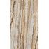 Photographic All-over Print 3 Panel Mural in brown color - pattern number A50801 - by Grandeco in the Orom II collection