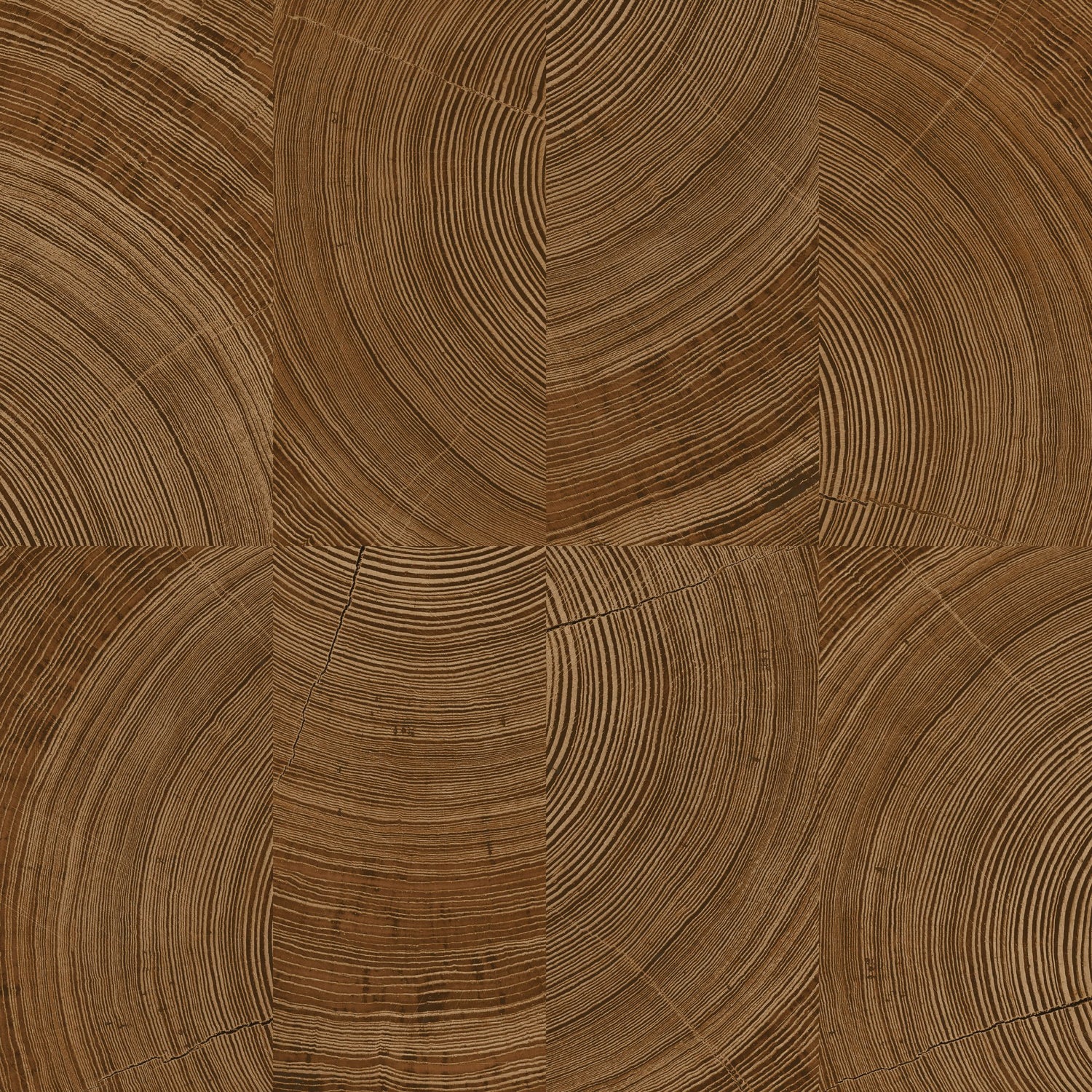 Photographic Motive Wallpaper in brown color - pattern number KRA69101 - by Grandeco in the Karuna collection