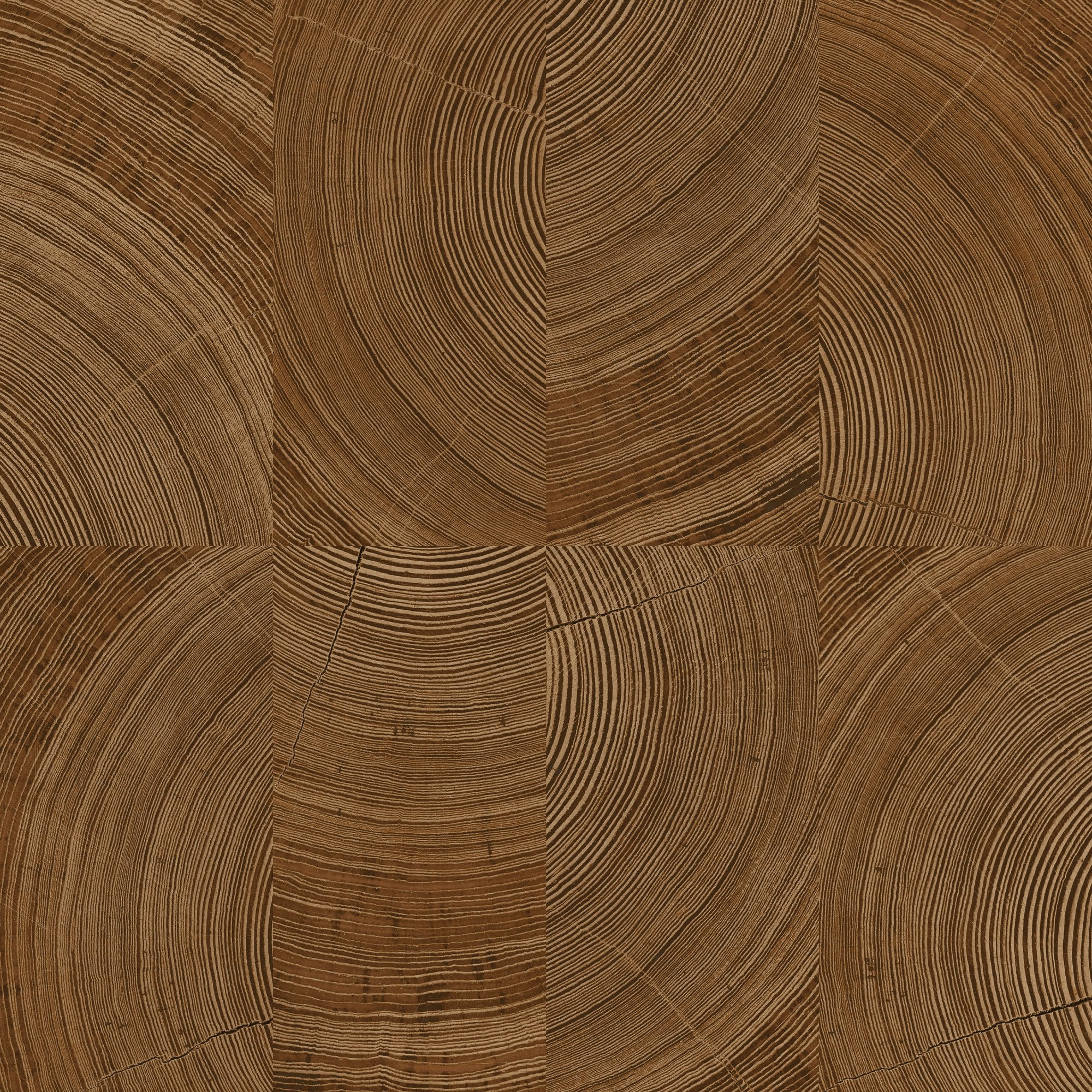 Photographic Motive Wallpaper in brown color - pattern number KRA69101 - by Grandeco in the Karuna collection