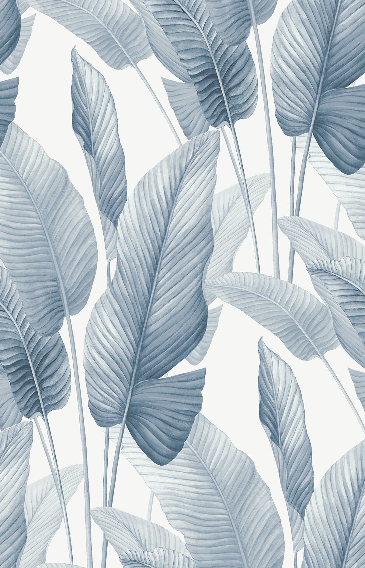Mantra Wallpaper in rainy sky color - pattern number AG60002 - by Seabrook in the Bali Tropical collection