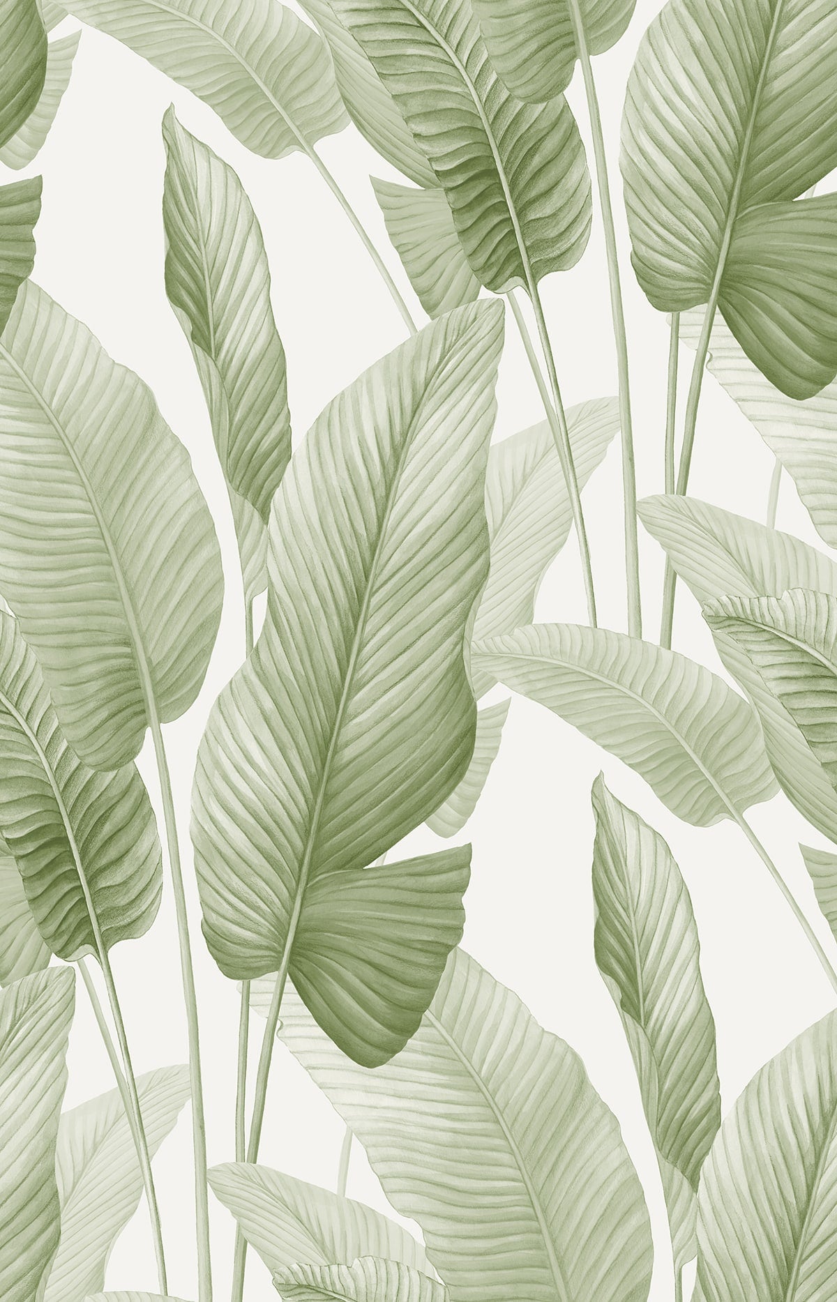 Mantra Wallpaper in baby lettuce color - pattern number AG60004 - by Seabrook in the Bali Tropical collection