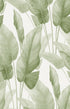Mantra Wallpaper in baby lettuce color - pattern number AG60004 - by Seabrook in the Bali Tropical collection