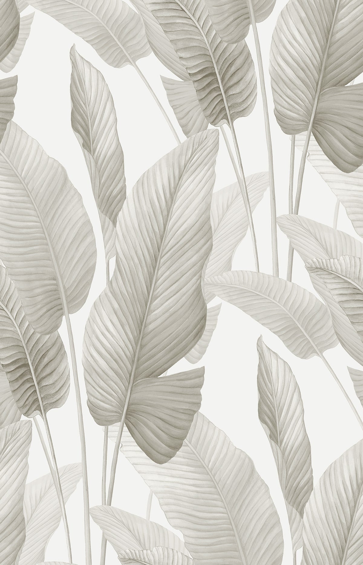 Mantra Wallpaper in silver color - pattern number AG60008 - by Seabrook in the Bali Tropical collection