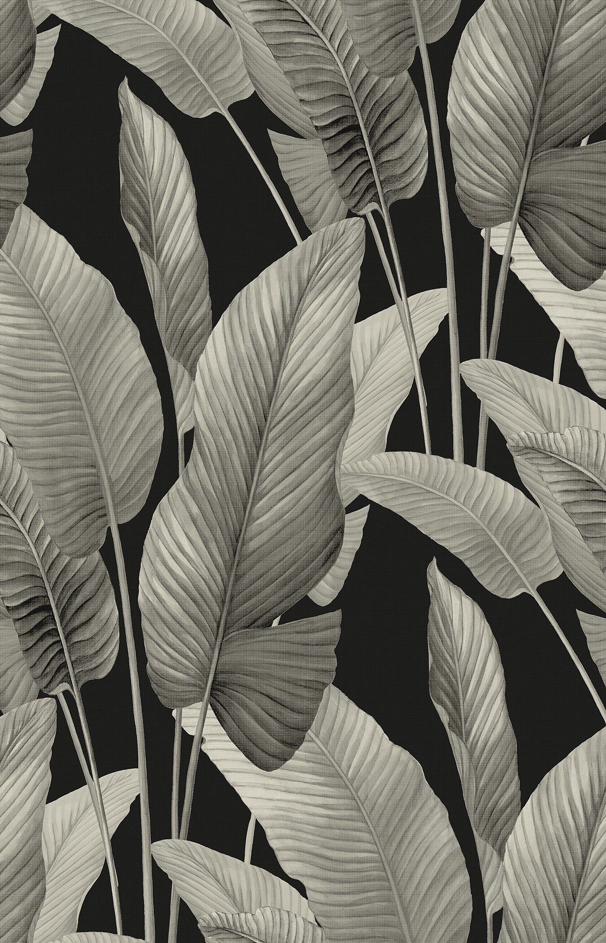 Mantra Wallpaper in gloss white color - pattern number AG62000 - by Seabrook in the Bali Tropical collection