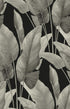 Mantra Wallpaper in gloss white color - pattern number AG62000 - by Seabrook in the Bali Tropical collection