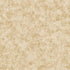 Metallic Plaster wallpaper in gold color - pattern number AM22009-2 - by Galerie in the Elegance collection