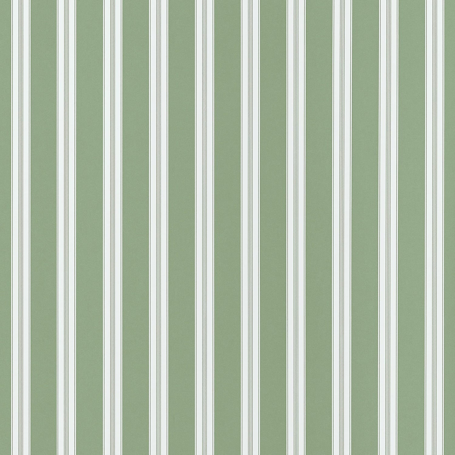 Payton Stripe Wallpaper in green color - pattern number AT10703 - by Thibaut in the Clermont collection