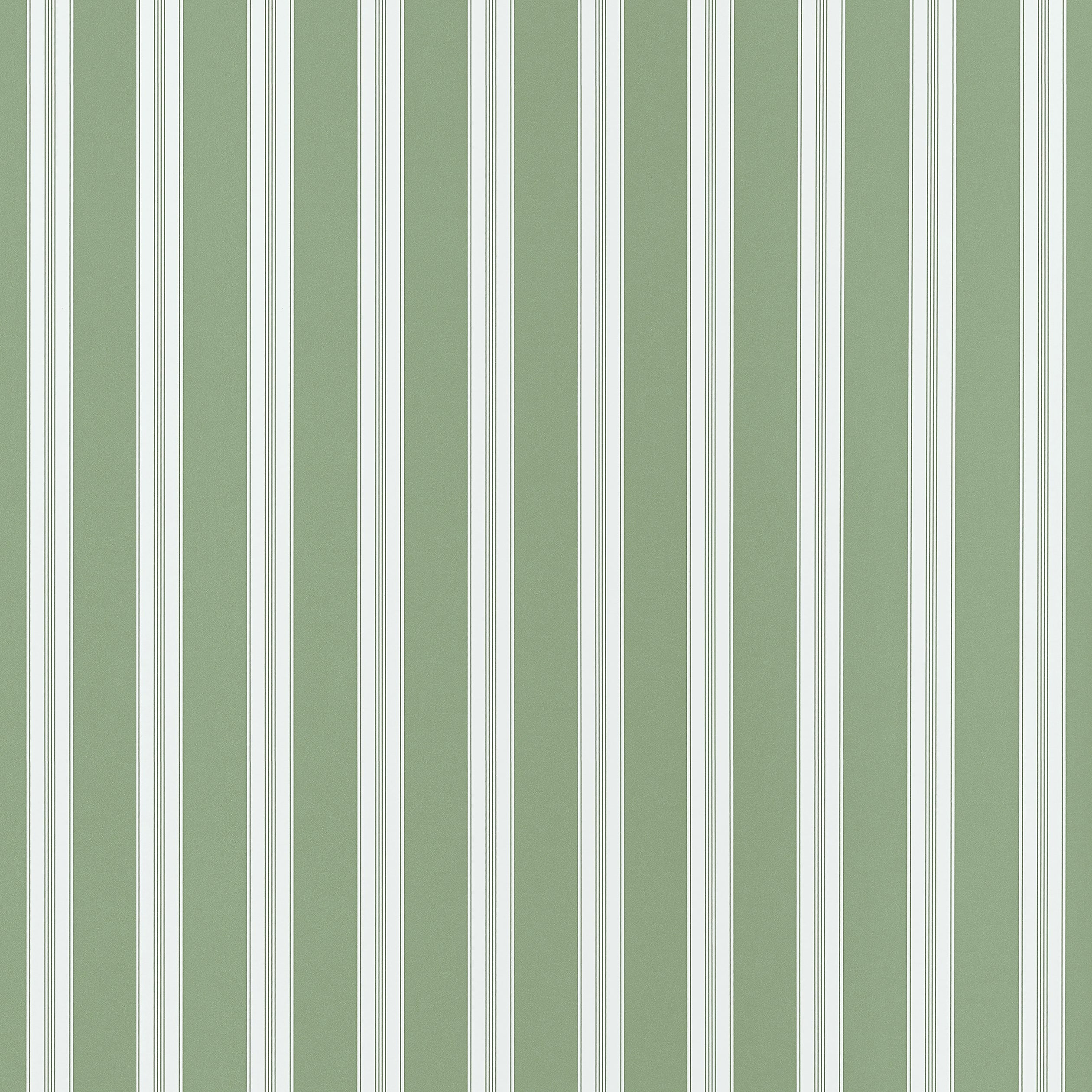 Payton Stripe Wallpaper in green color - pattern number AT10703 - by Thibaut in the Clermont collection