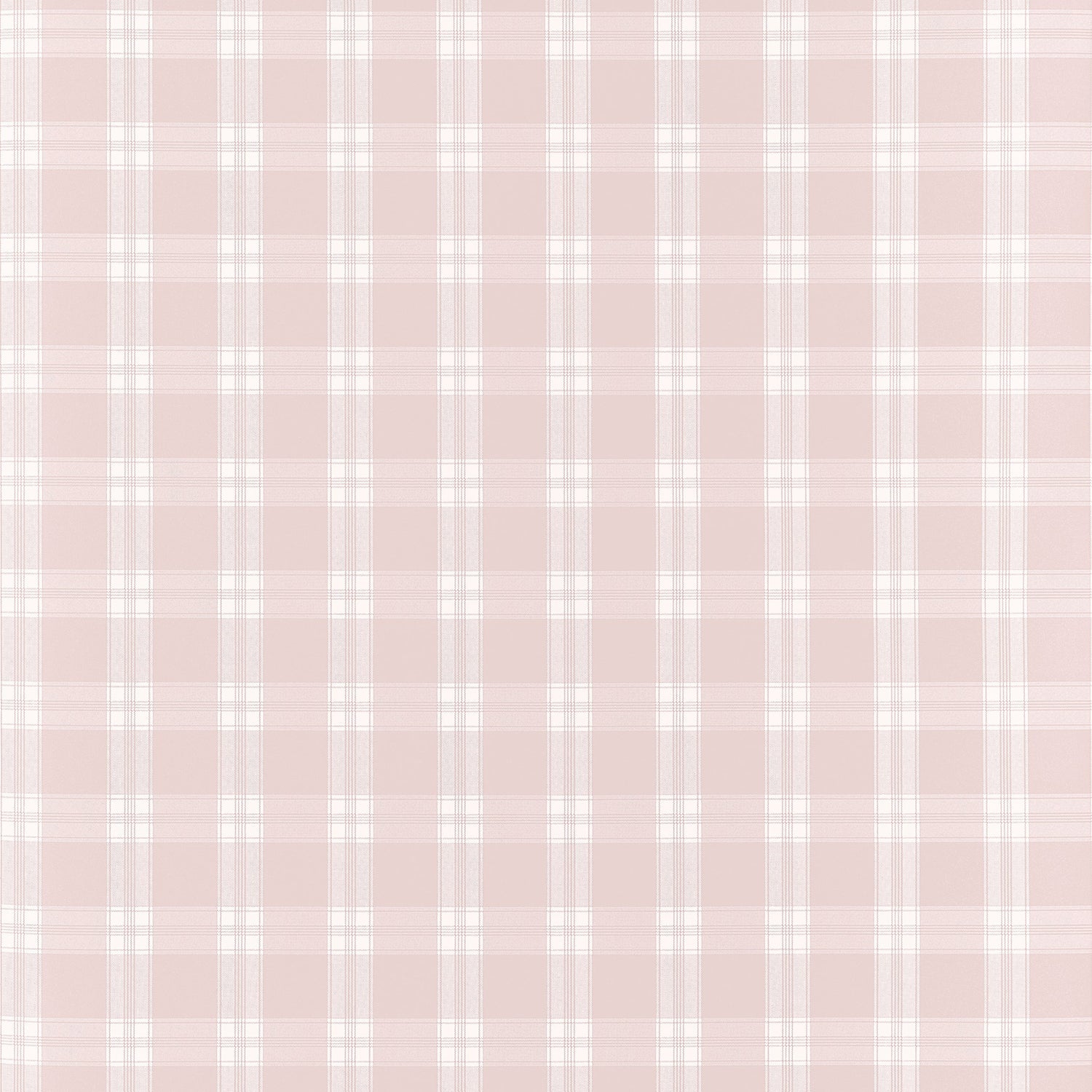 Payton Check Wallpaper in blush color - pattern number AT10707 - by Thibaut in the Clermont collection