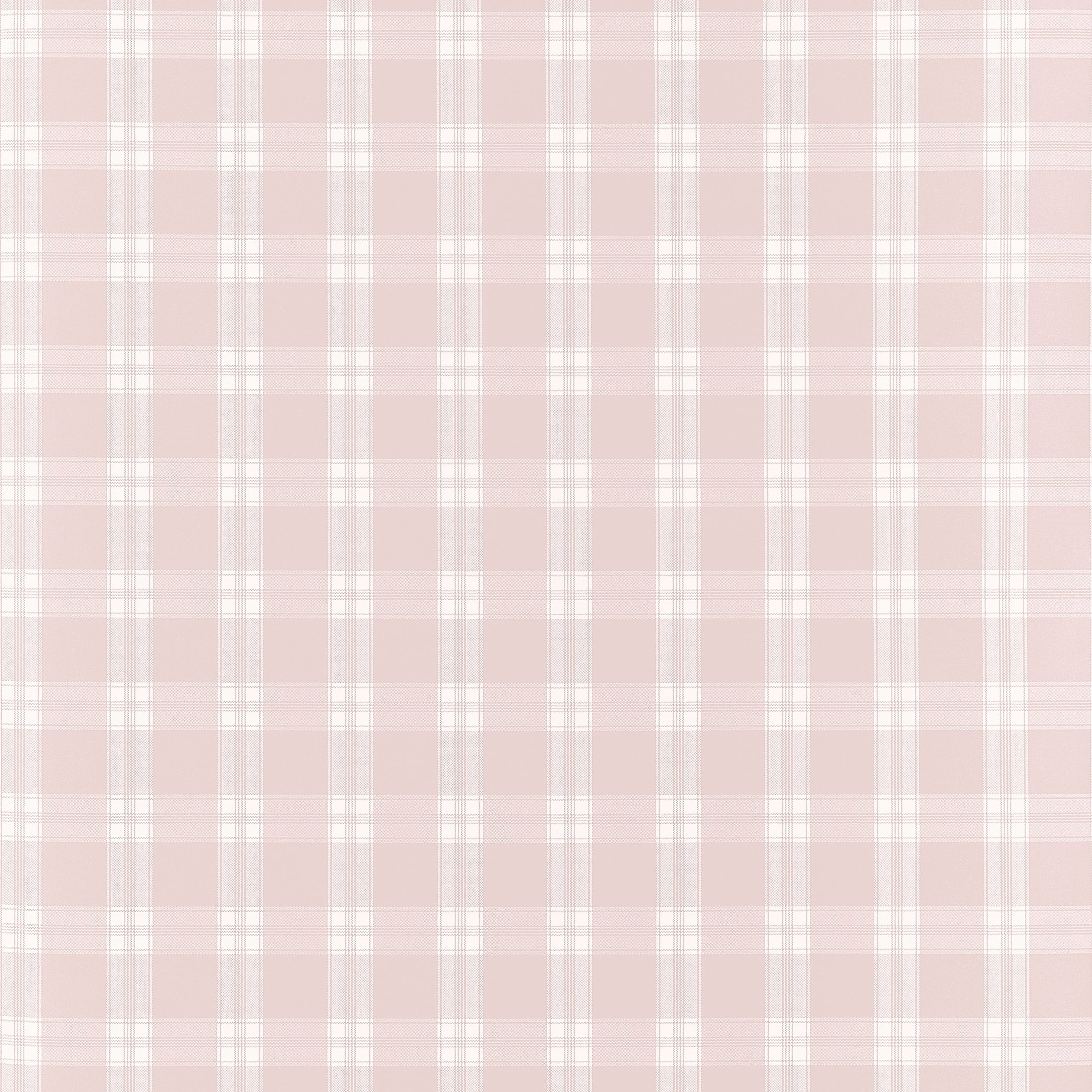 Payton Check Wallpaper in blush color - pattern number AT10707 - by Thibaut in the Clermont collection