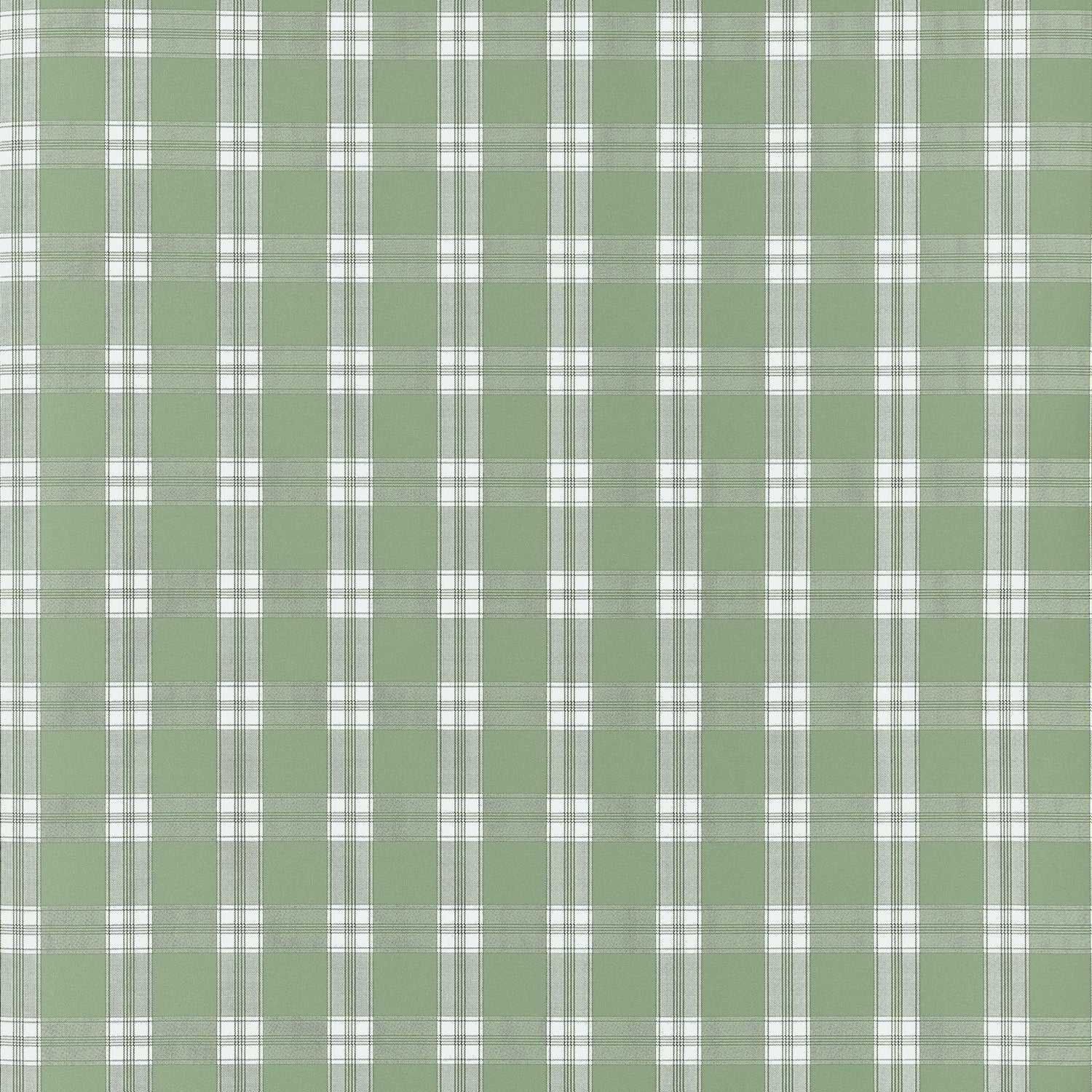 Payton Check Wallpaper in green color - pattern number AT10709 - by Thibaut in the Clermont collection