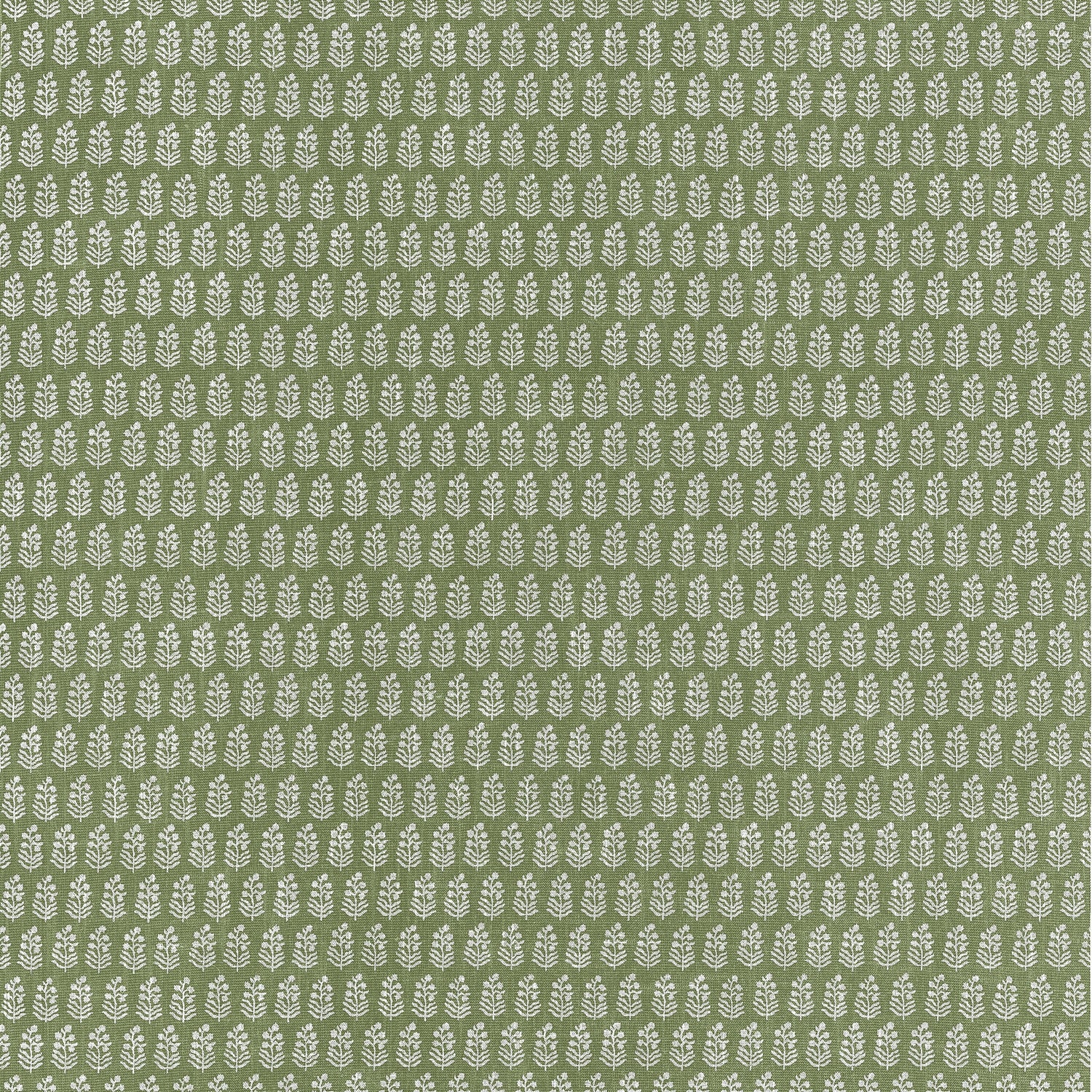 Chloe Wallpaper in green color - pattern number AT10748 - by Thibaut in the Clermont collection