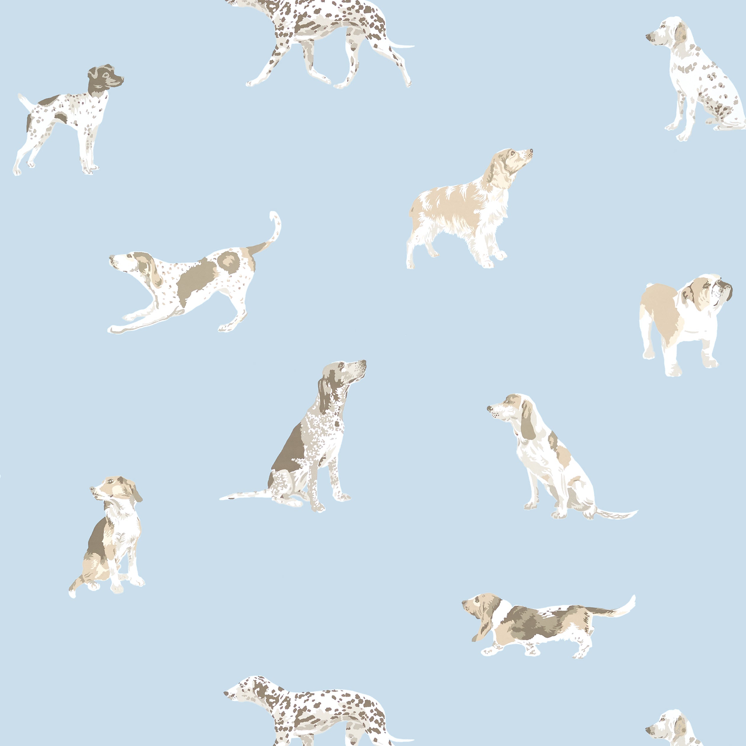 Buddy wallpaper in blue color - pattern number AT24602 - by Anna French in the Devon collection