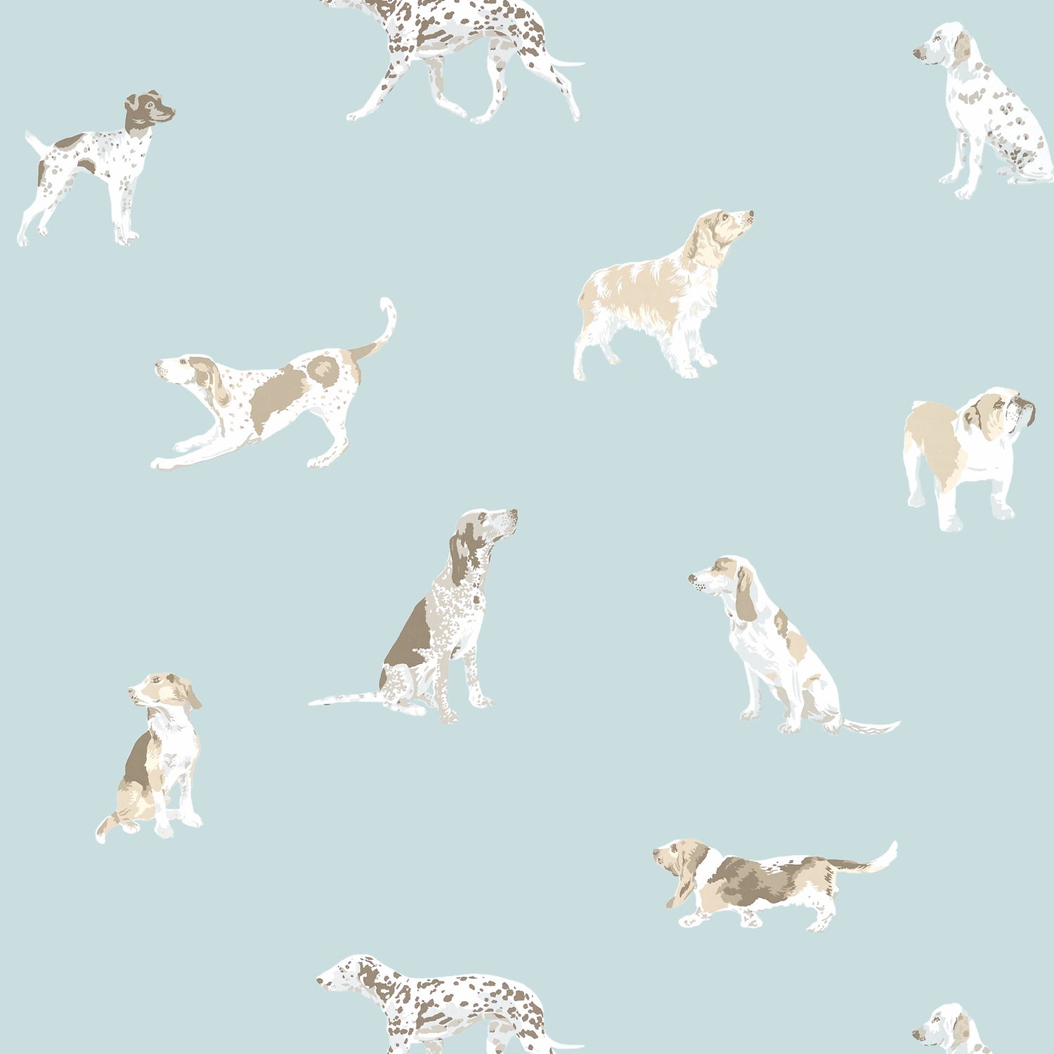 Buddy wallpaper in robins egg color - pattern number AT24603 - by Anna French in the Devon collection