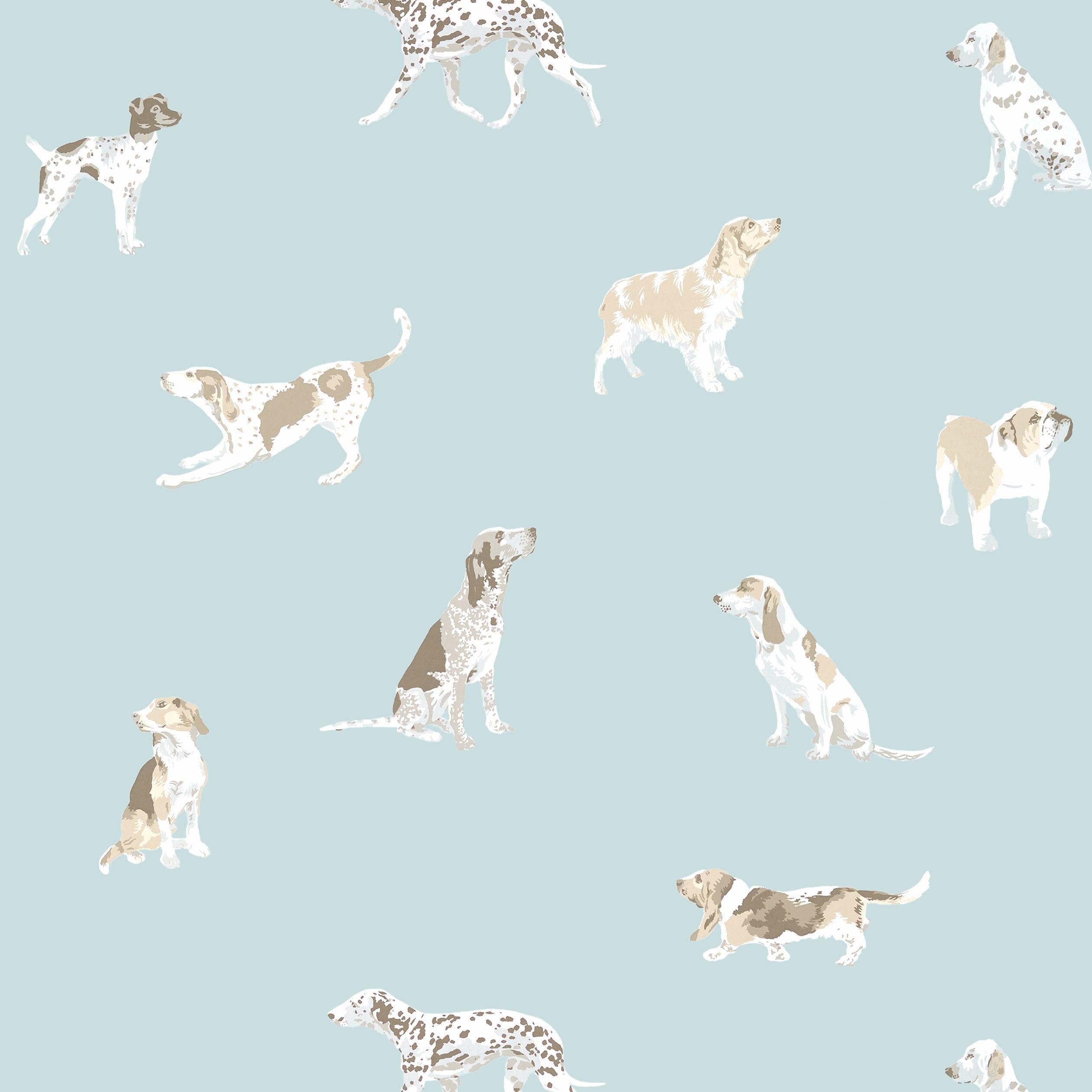 Buddy wallpaper in robins egg color - pattern number AT24603 - by Anna French in the Devon collection