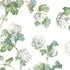 Sussex Hydrangea wallpaper in white and green color - pattern number AT57849 - by Anna French in the Bristol collection