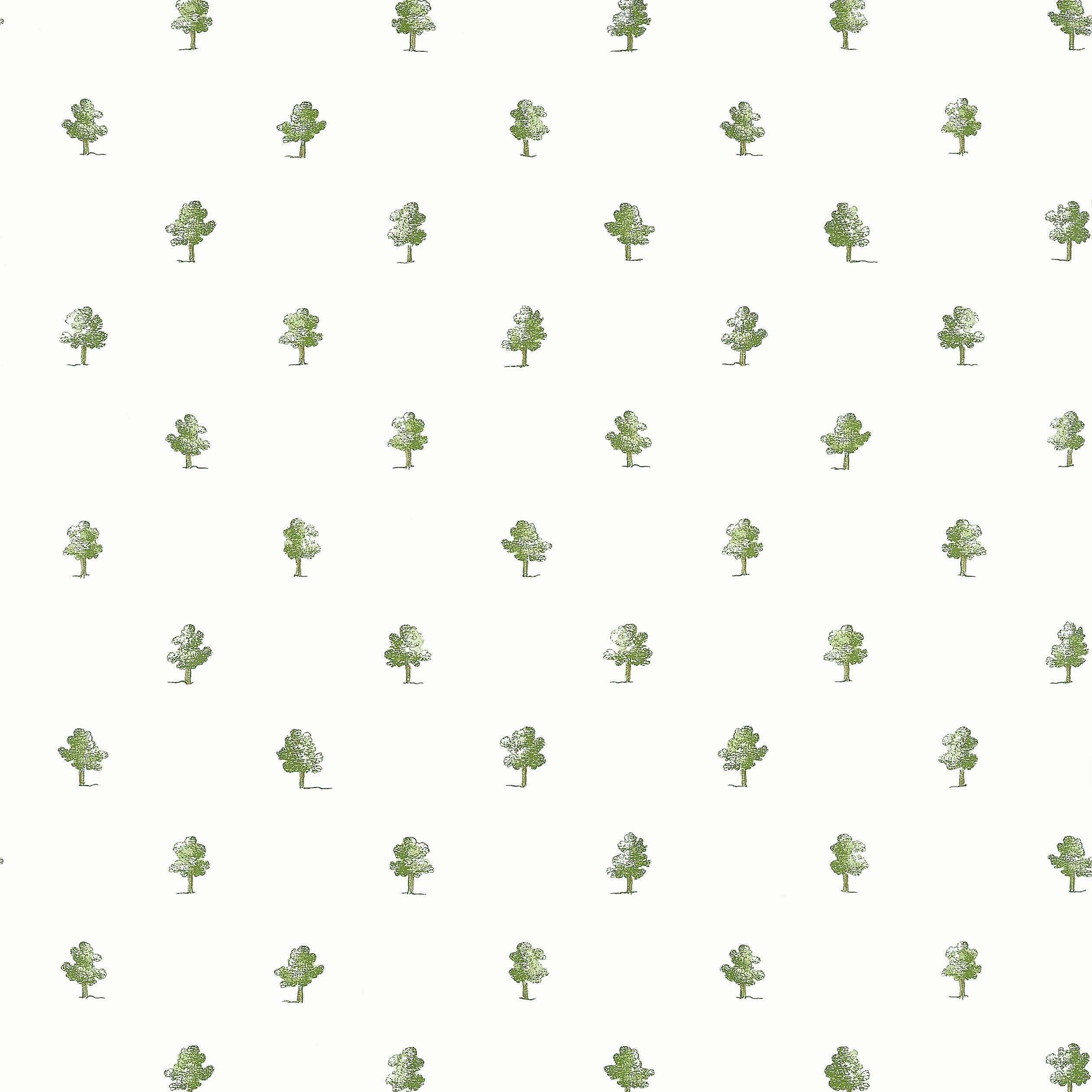 Ashton wallpaper in green color - pattern number AT57875 - by Anna French in the Bristol collection