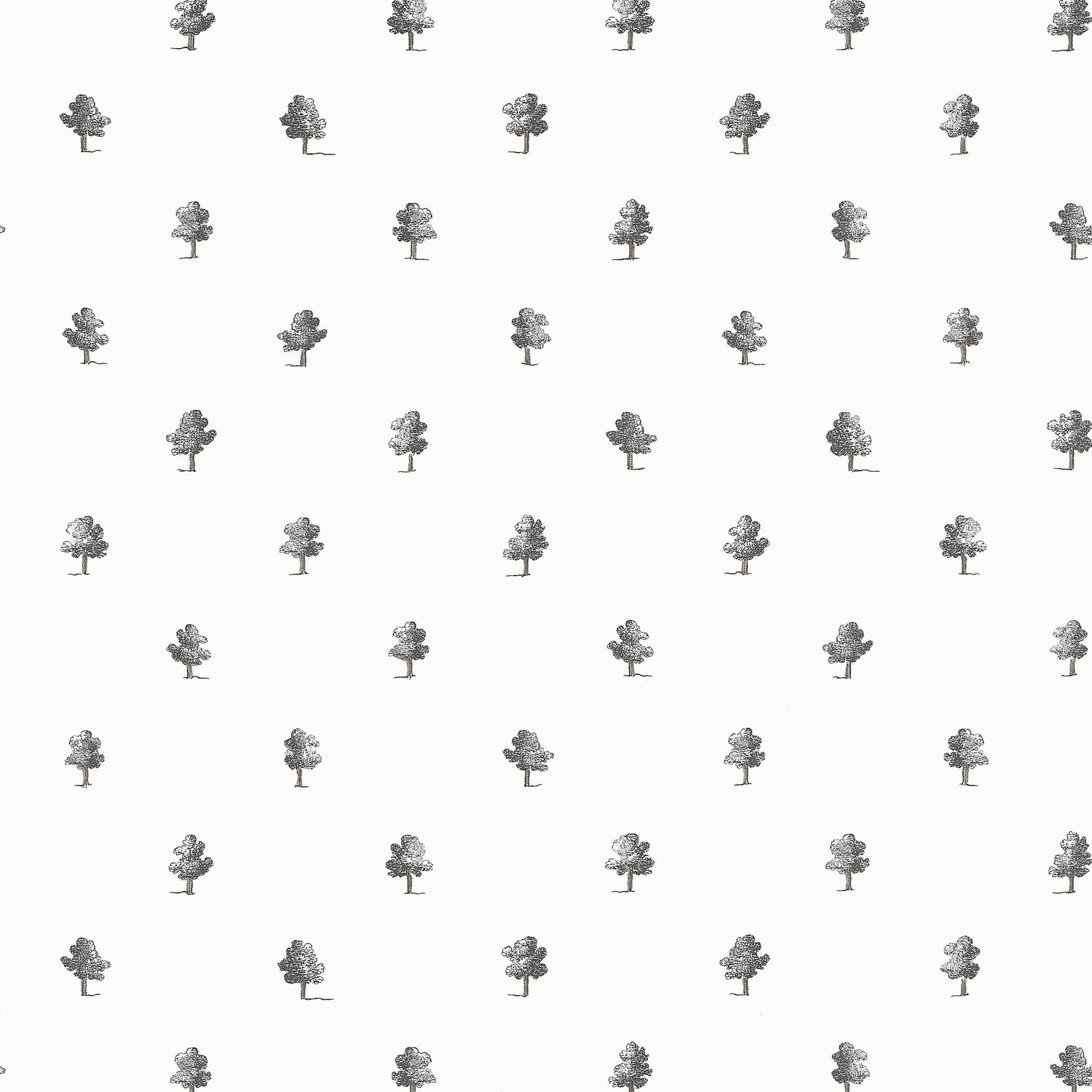 Ashton wallpaper in black and white color - pattern number AT57876 - by Anna French in the Bristol collection