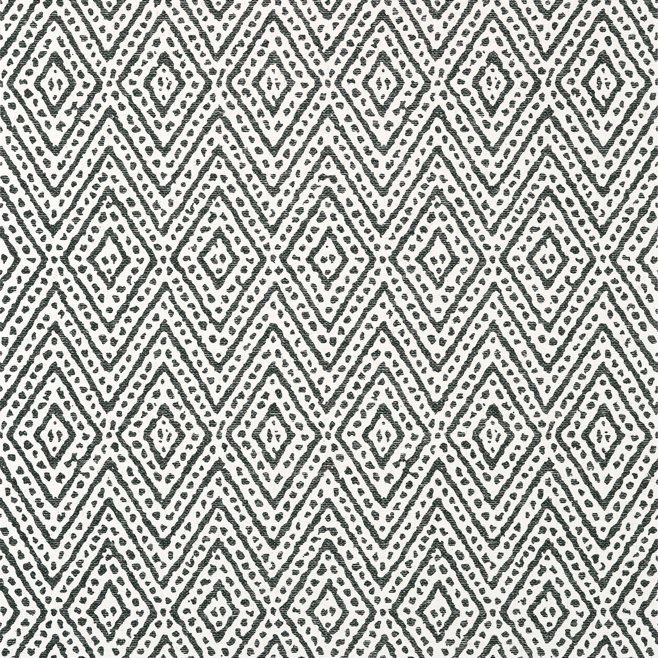 Vero wallpaper in black color - pattern number AT78763 - by Anna French in the Palampore collection