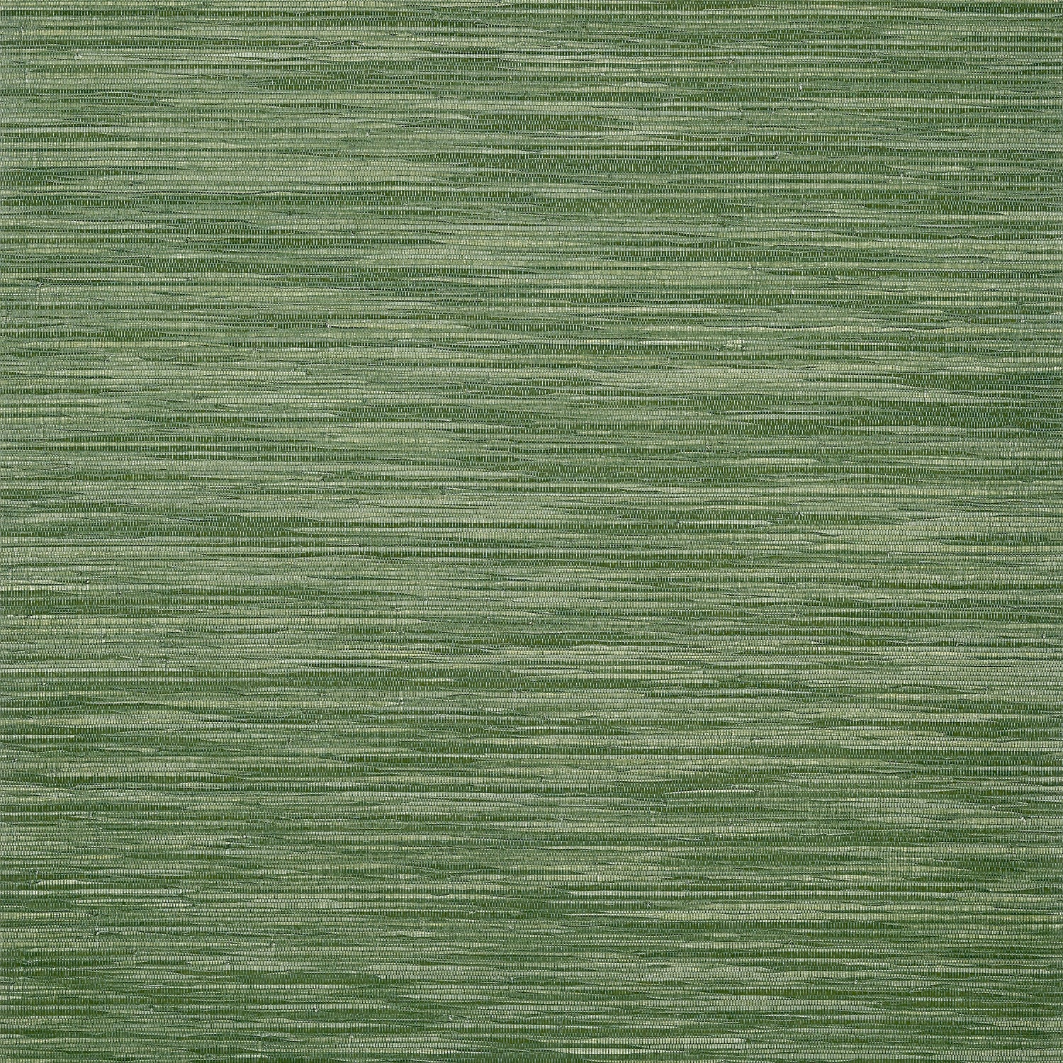 Gaya wallpaper in emerald green color - pattern number AT9657 - by Anna French in the Savoy collection