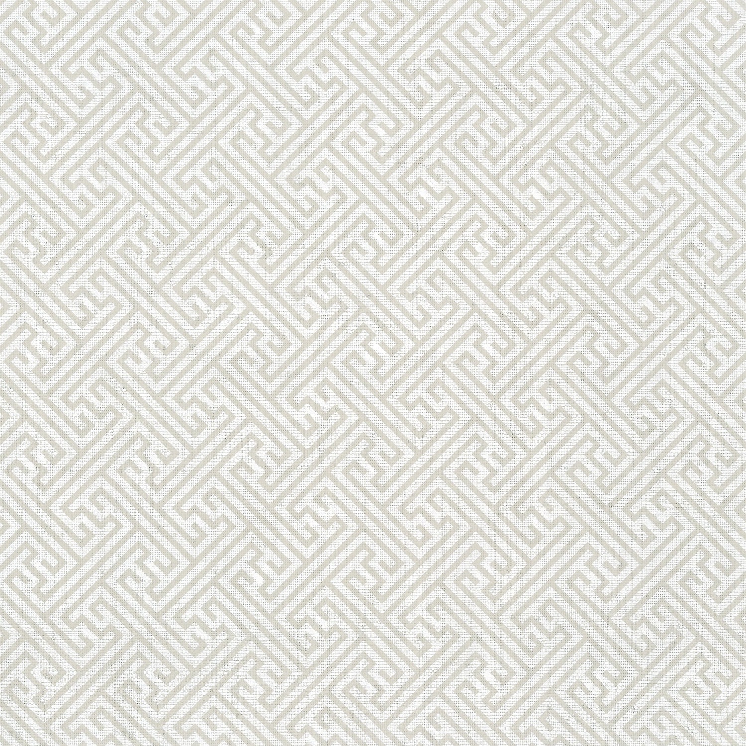 Charlotte Raffia fabric in light taupe color - pattern number AT9839 - by Anna French in the Nara collection