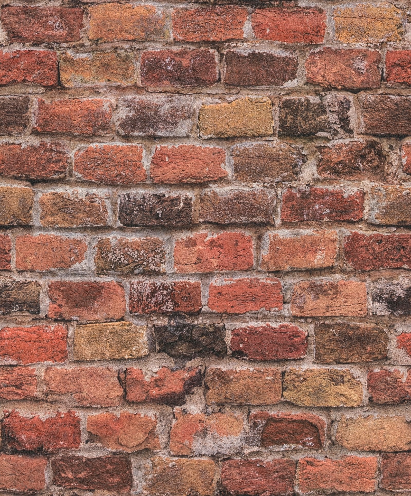 Brickshire Residents Motif wallpaper in red color - pattern number BB51115 - by Galerie in the The Bricks And More collection