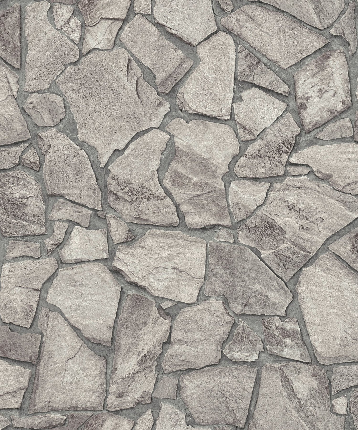 Petrified Paradise Motif wallpaper in silver grey color - pattern number BB51140 - by Galerie in the The Bricks And More collection