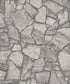 Petrified Paradise Motif wallpaper in silver grey color - pattern number BB51140 - by Galerie in the The Bricks And More collection