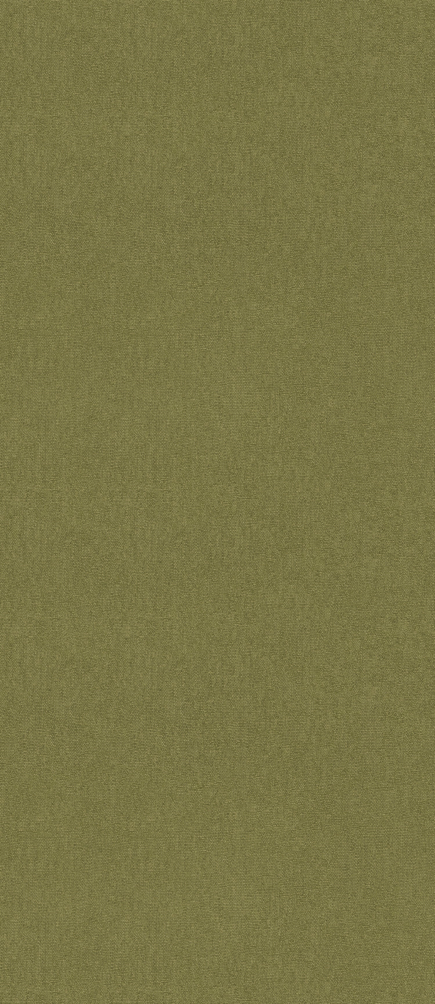 Cubby Wallpaper in olive color - pattern number BW45168.730.0 - by G P &amp; J Baker in the Kit Kemp Cubby collection