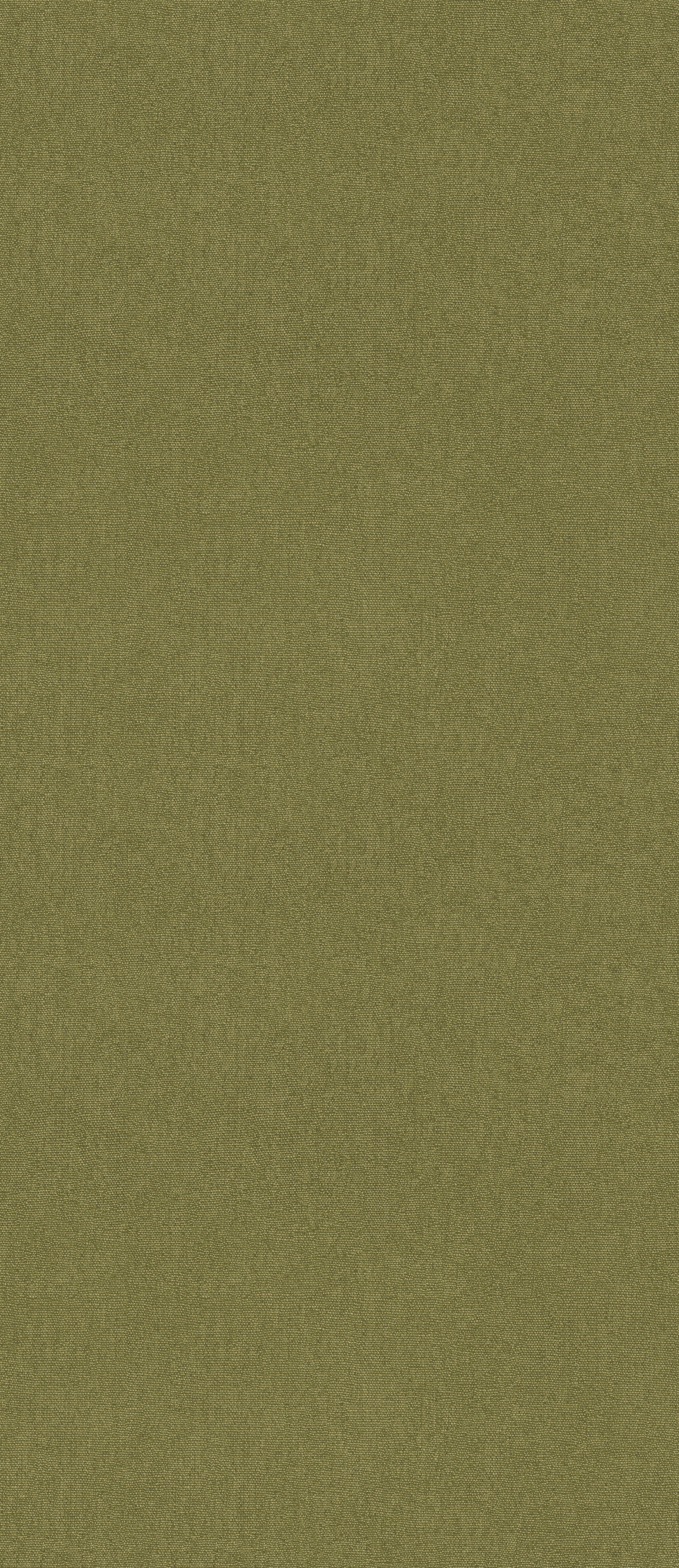 Cubby Wallpaper in olive color - pattern number BW45168.730.0 - by G P &amp; J Baker in the Kit Kemp Cubby collection