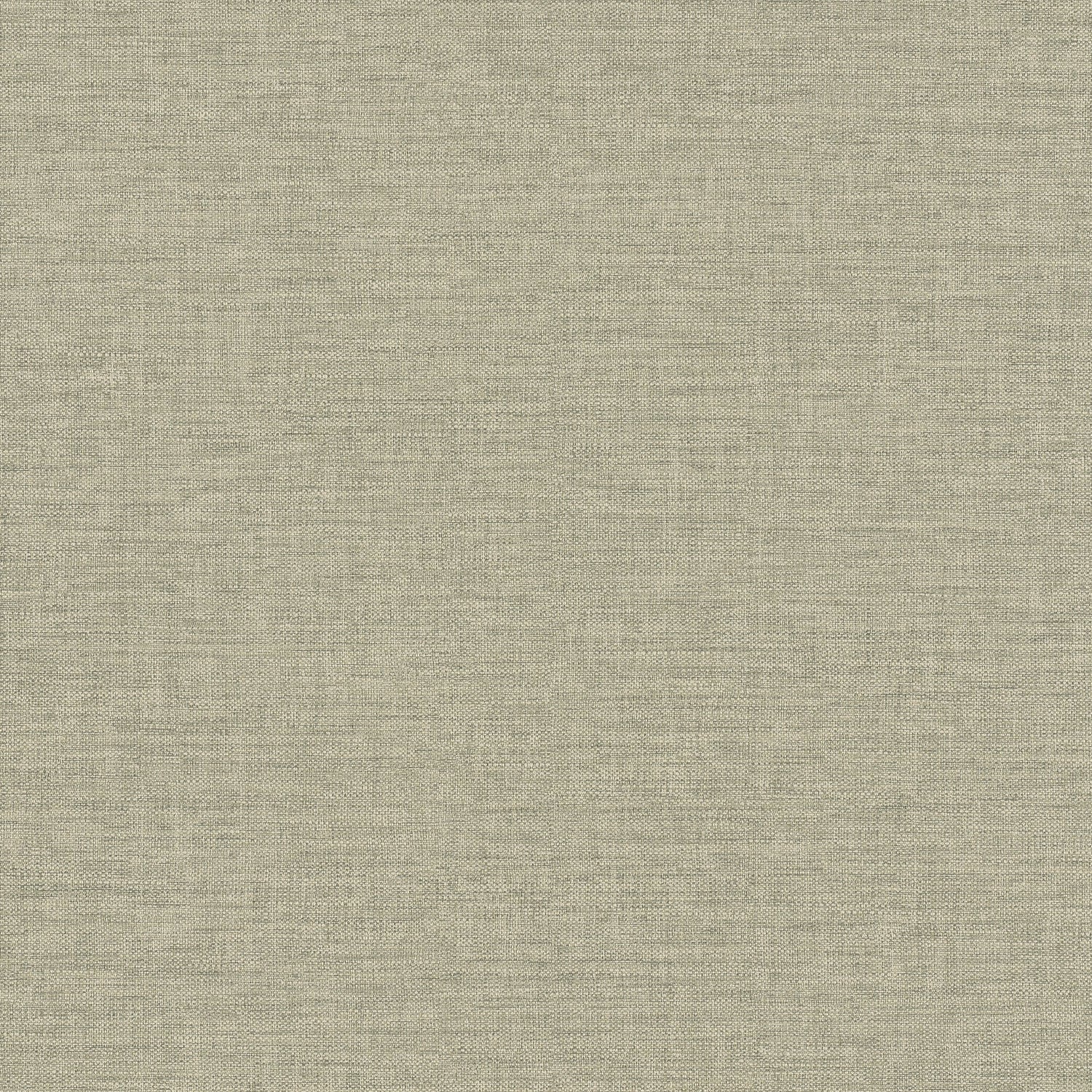 Rough Textile Wallpaper in green color - pattern number CO1018 - by Grandeco in the Concept collection