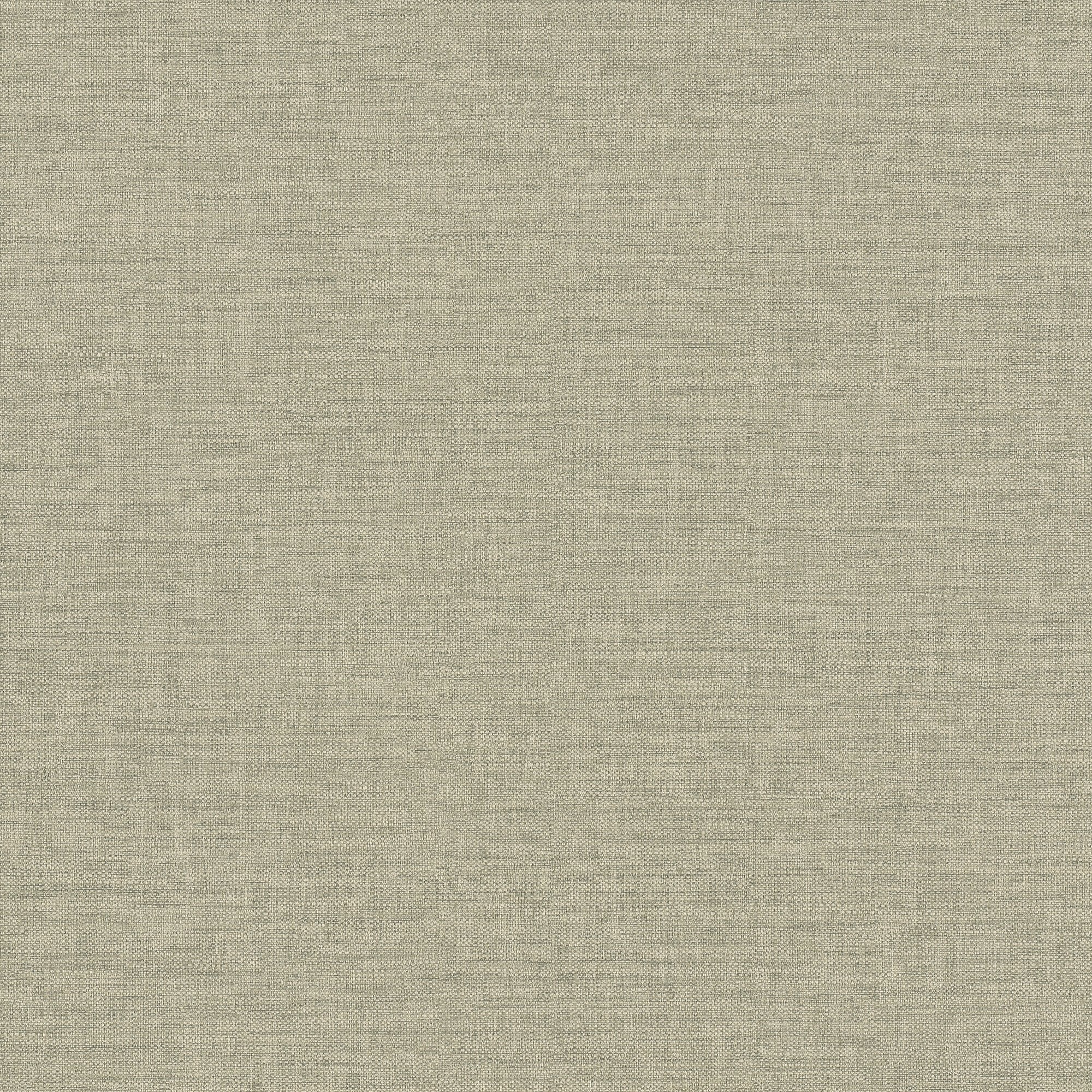Rough Textile Wallpaper in green color - pattern number CO1018 - by Grandeco in the Concept collection
