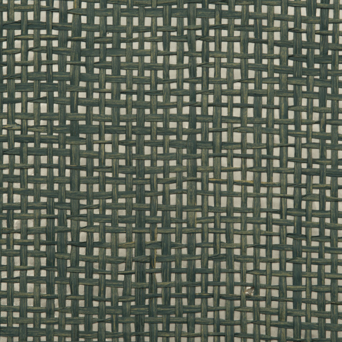 Desert Grass wallpaper in blue silver color - pattern number DG-20056.012.0 - by Donghia in the Desert Bloom collection
