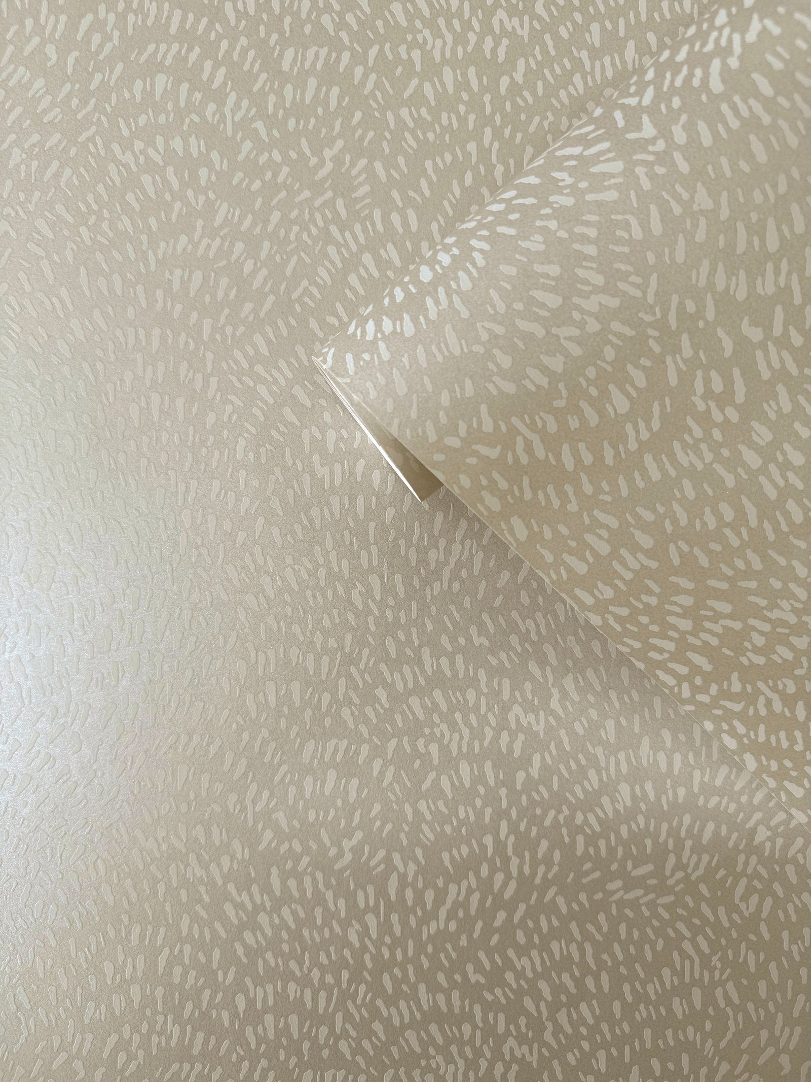 Fan Fleck wallpaper in cream color - pattern number DWP0363-03 - by Galerie in the Zen collection
