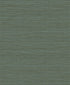 Sisa Wallpaper in seaweed color - pattern number EN40204 - by Seabrook in the Natural Grass Textures collection