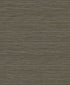 Sisa Wallpaper in coffee color - pattern number EN40206 - by Seabrook in the Natural Grass Textures collection