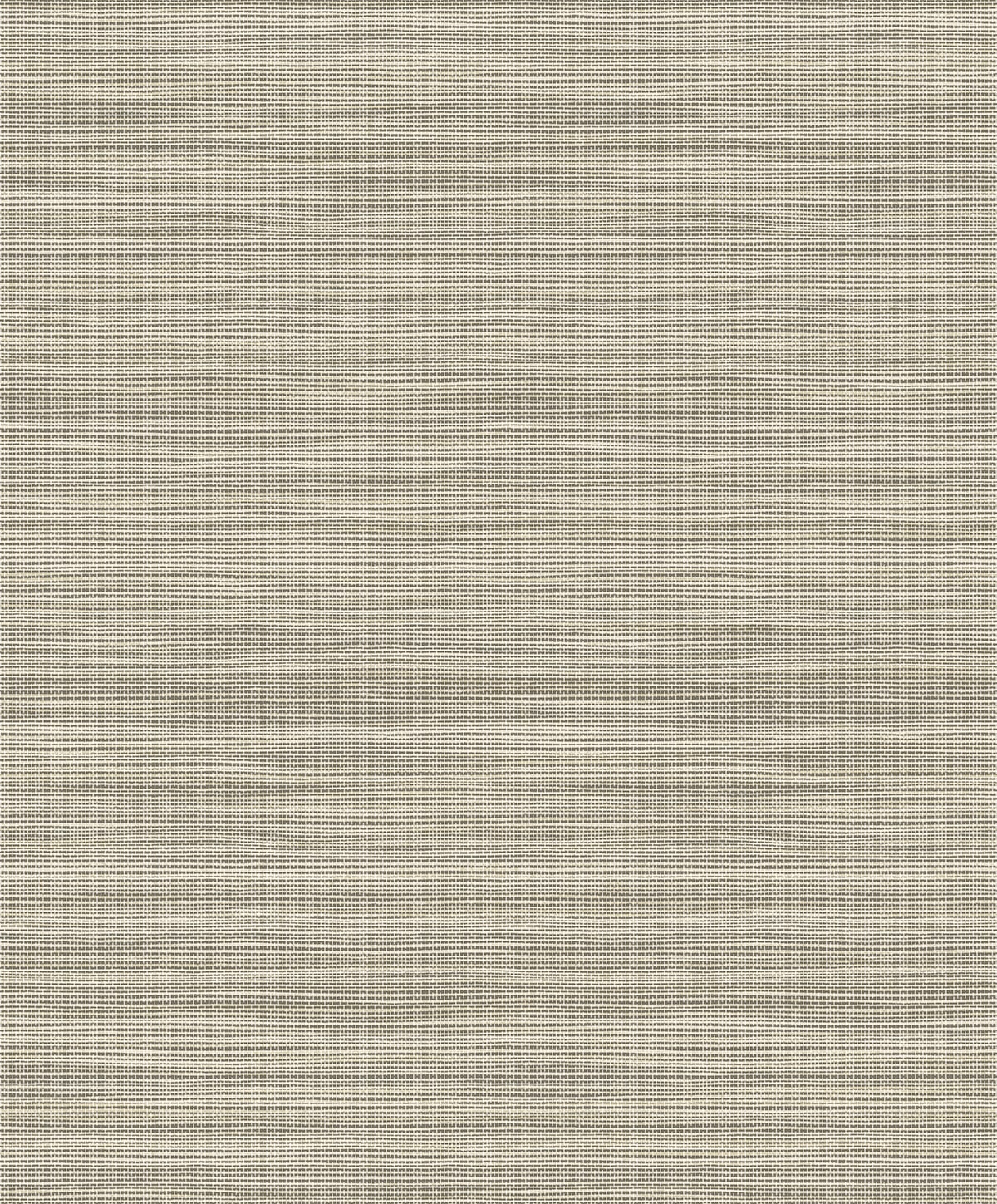 Sisa Wallpaper in owlet color - pattern number EN40207 - by Seabrook in the Natural Grass Textures collection