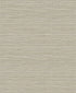 Sisa Wallpaper in owlet color - pattern number EN40207 - by Seabrook in the Natural Grass Textures collection