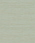 Sisa Wallpaper in mint color - pattern number EN40214 - by Seabrook in the Natural Grass Textures collection