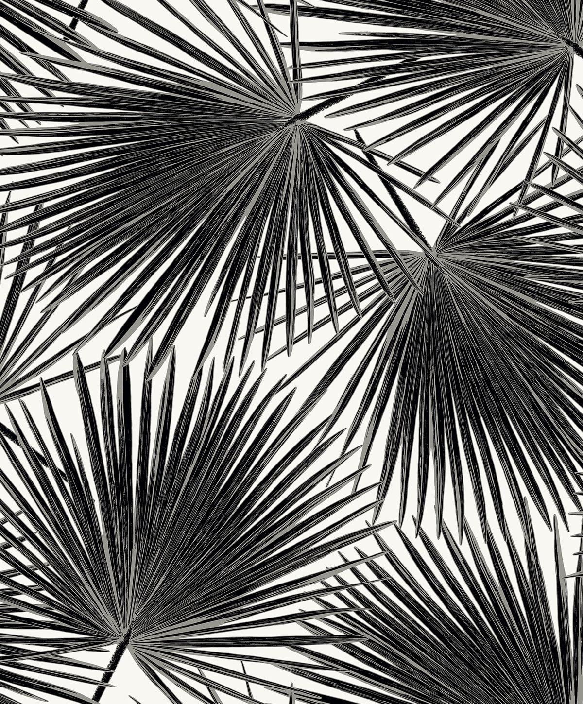 Haven Palm Prepasted wallpaper in inkwell color - pattern number EP11000 - by Seabrook in the Etten Prepasted Wallcovering collection