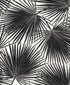 Haven Palm Prepasted wallpaper in inkwell color - pattern number EP11000 - by Seabrook in the Etten Prepasted Wallcovering collection