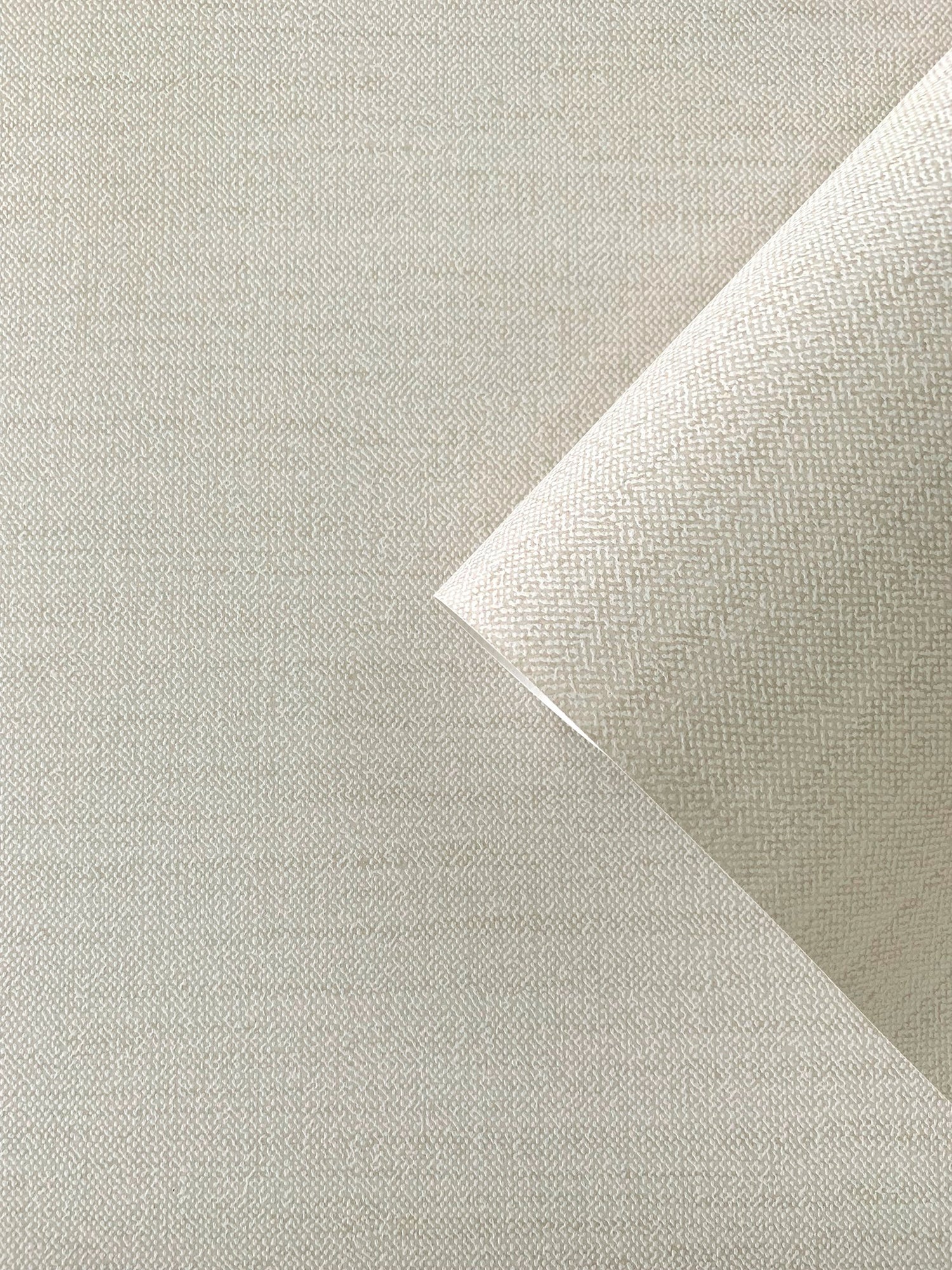 Plain Texture wallpaper in cream color - pattern number F-FG6001 - by Galerie in the Boutique collection