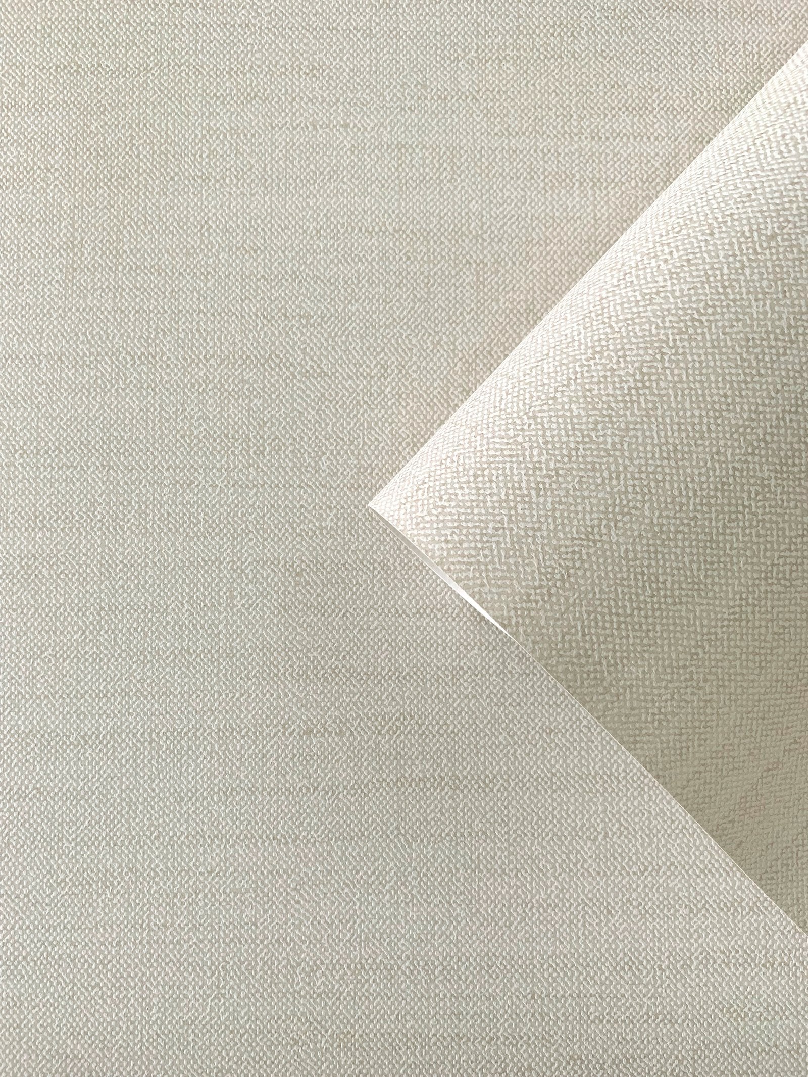 Plain Texture wallpaper in cream color - pattern number F-FG6001 - by Galerie in the Boutique collection