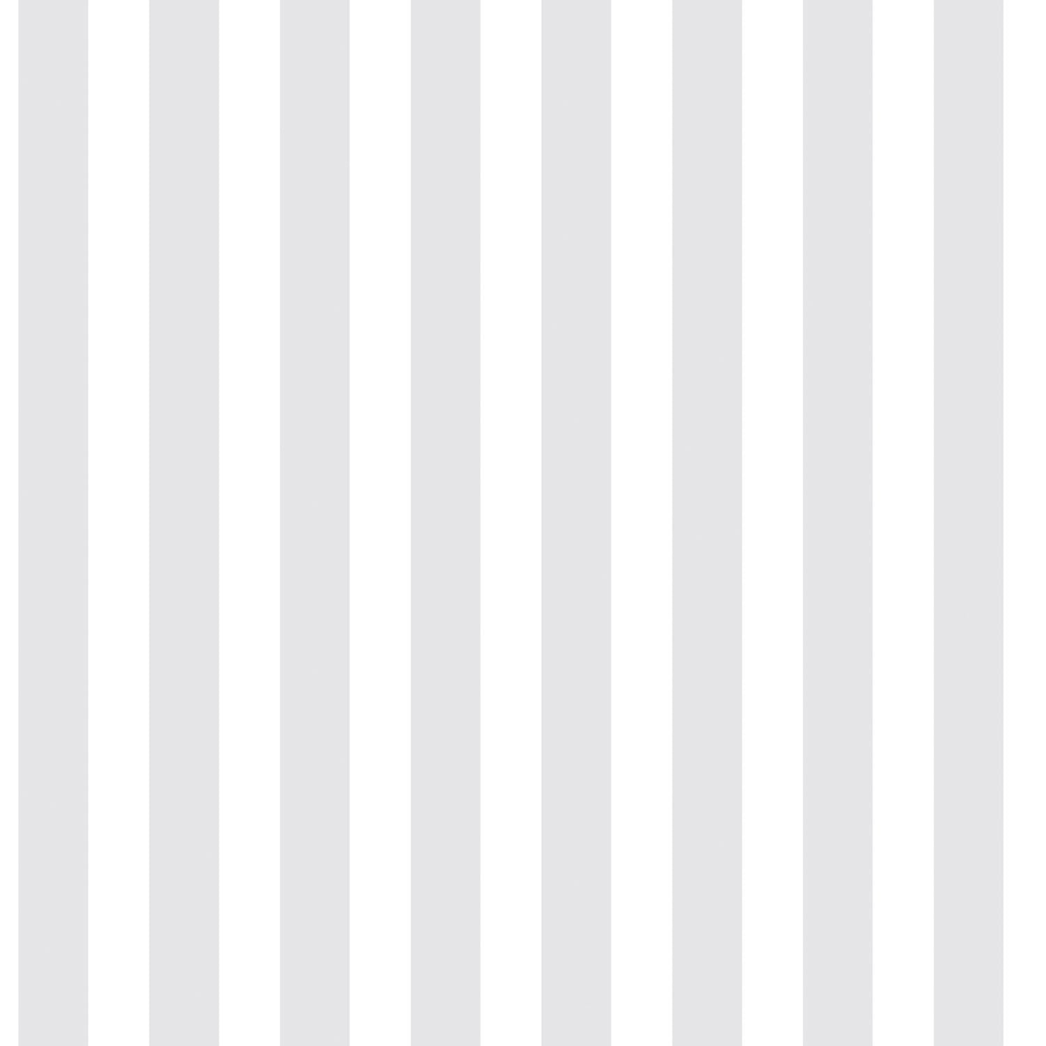Regency Stripe wallpaper in silver grey color - pattern number G56519 - by Galerie in the Just 4 Kids 2 collection